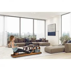 First Degree Fitness First Degree Roddmaskin Viking 3 V -Tränings utrustning affär 22FVK3V000 living 1600