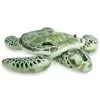 Intex RideOn Realistic Sea Turtle -Tränings utrustning affär 57555 sea turtle 02 1600