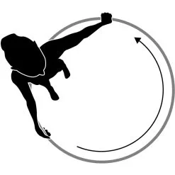 Schildkröt Fitness-Hoop -Tränings utrustning affär 960234 FitnessHoop Rose Piktogramm 1 1600