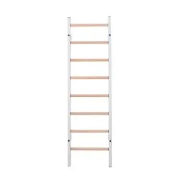 BenchK Ribbstol 200-serien 15 BenchK Ribbstol 200-serien -Tränings utrustning affär BenchK20200W 2 1600