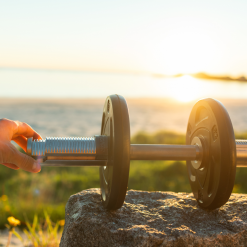 Gungnir Hantlar Dumbler Par 50 Mm -Tränings utrustning affär The20Dumbler Sun 3 1600