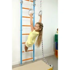 Wallbarz Family Ribbstol Och Klätterställning -Tränings utrustning affär aktiv1 1600 2