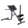 BodyCraft Ryggsträckare F670 -Tränings utrustning affär bodycraft f670 01 1600