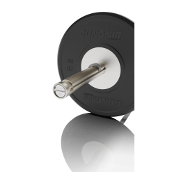 Gungnir Skivstång Allrounder 20 Gungnir Skivstång Allrounder -Tränings utrustning affär gungnir allrounder 7 1600