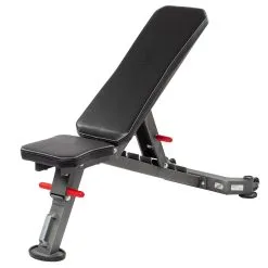 Taurus Träningsbänk B450