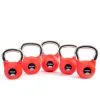 Taurus Premium Kettlebell Special Edition 6 Kg