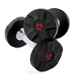 Taurus Hantel Polyuretan Kompakthantel -Tränings utrustning affär taurus pu hantel 005 1600