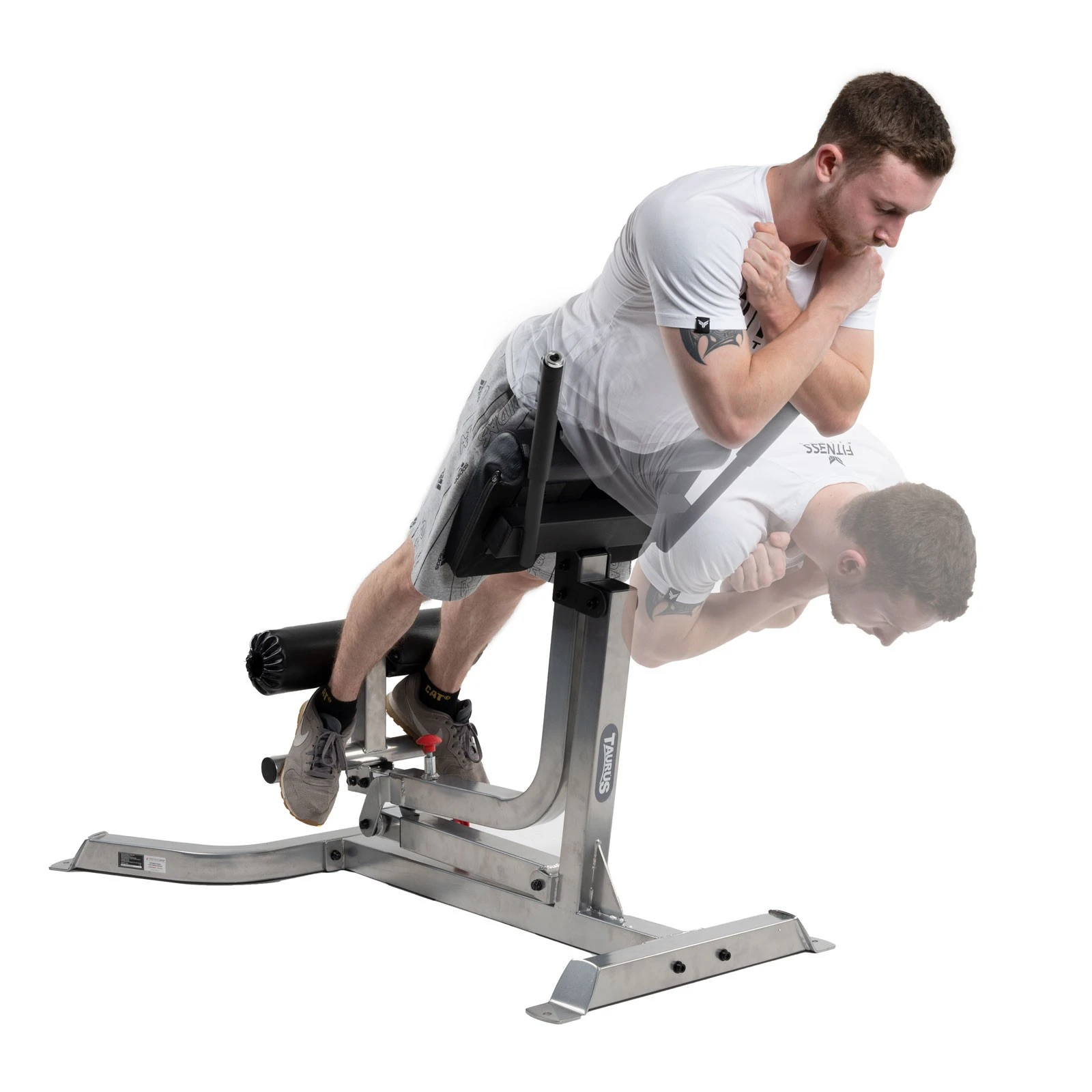 Taurus Ryggtränare B850 Pro 5 Taurus Ryggtränare B850 Pro - Bild 3