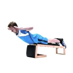 NOHrD Magtränare / Ryggtränare TriaTrainer -Tränings utrustning affär uebung rt 1600 1600